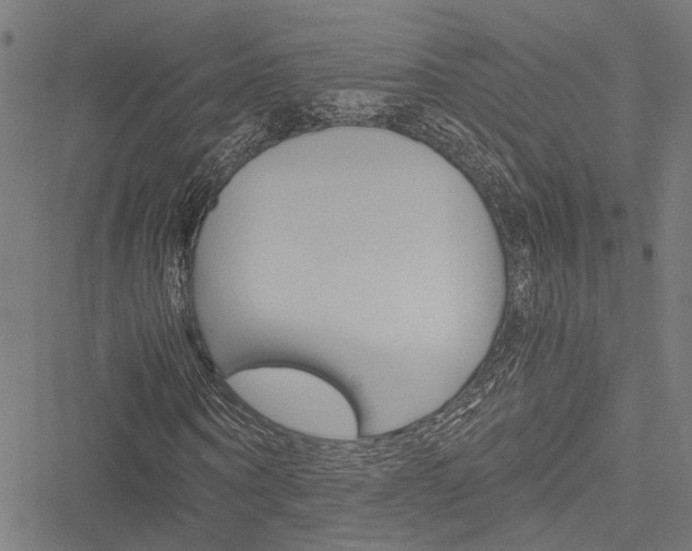 X0000051880866200506240934