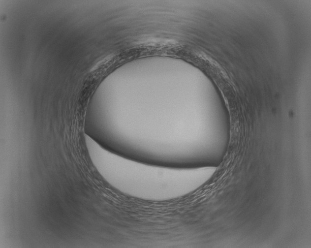 X0000051880869200506240934