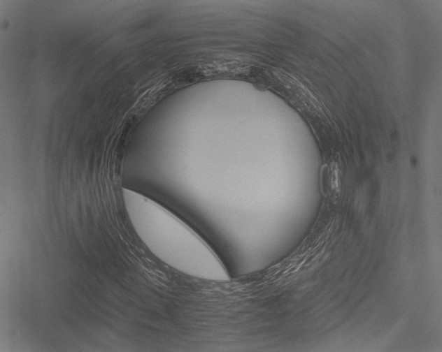 X0000051880915200506240933