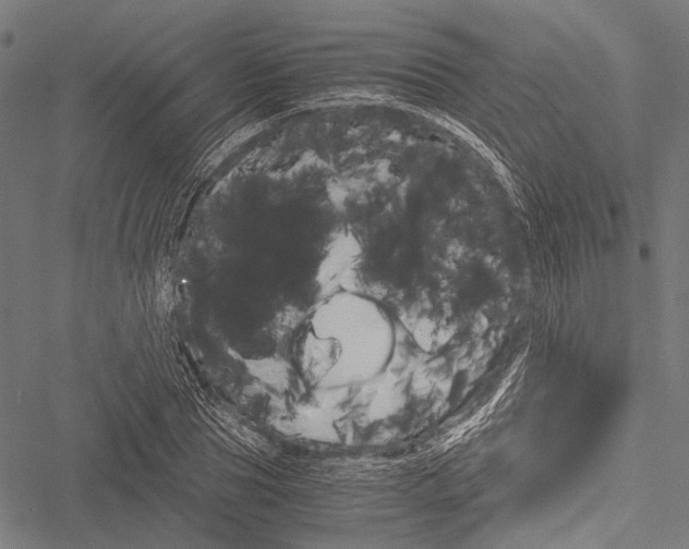 X0000051880929200506240933