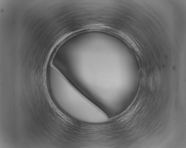 X0000051880939200506240933