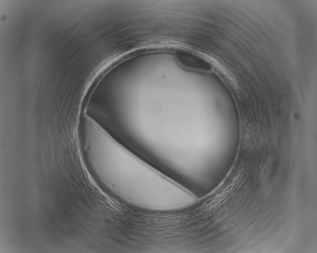 X0000051880943200506240933