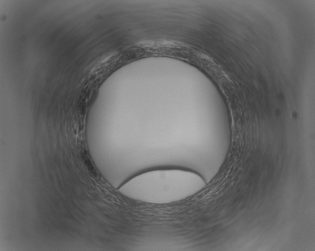 X0000051880966200506240933
