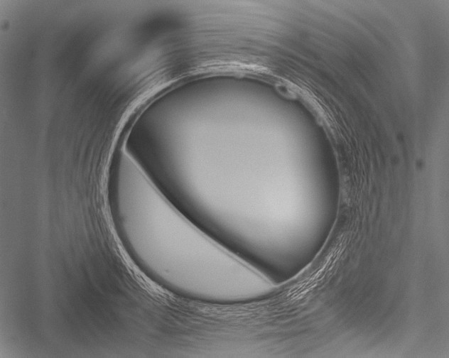 X0000051880995200506240932