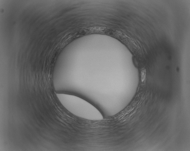 X0000051881011200506240931