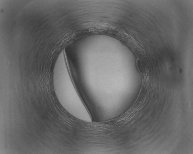 X0000051881012200506240931