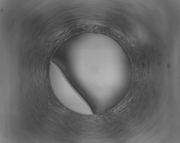 X0000051881013200506240931