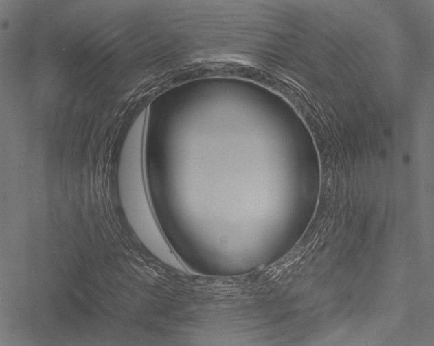 X0000051881014200506240931