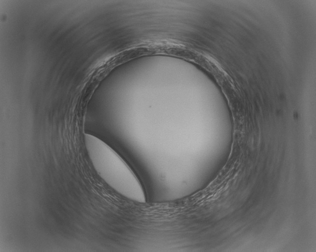 X0000051881016200506240931