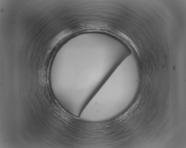 X0000051881019200506240931