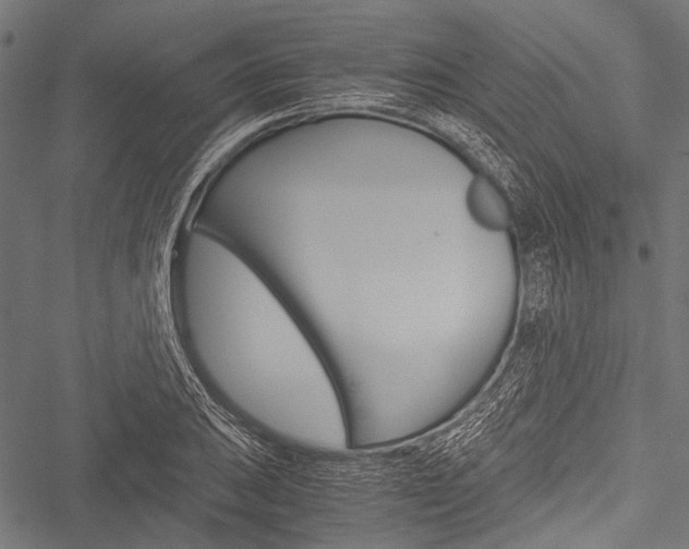 X0000051881031200506240932