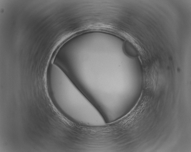 X0000051881032200506240932