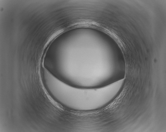 X0000051881042200506240932