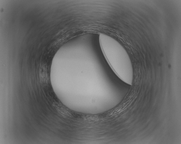 X0000051881058200506240931