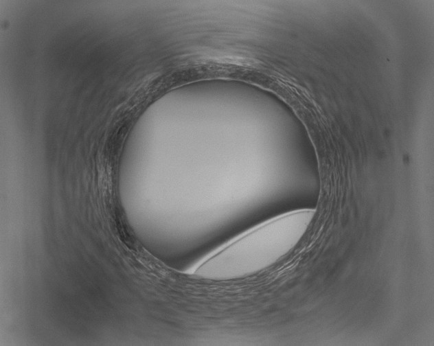 X0000051881061200506240931