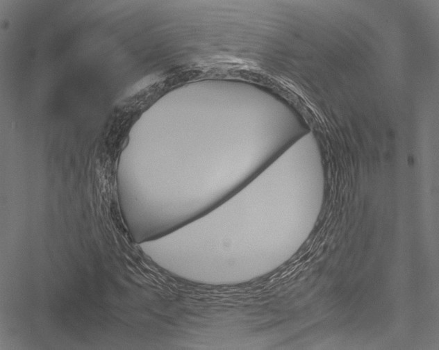 X0000051881063200506240931