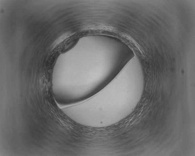 X0000051881064200506240931