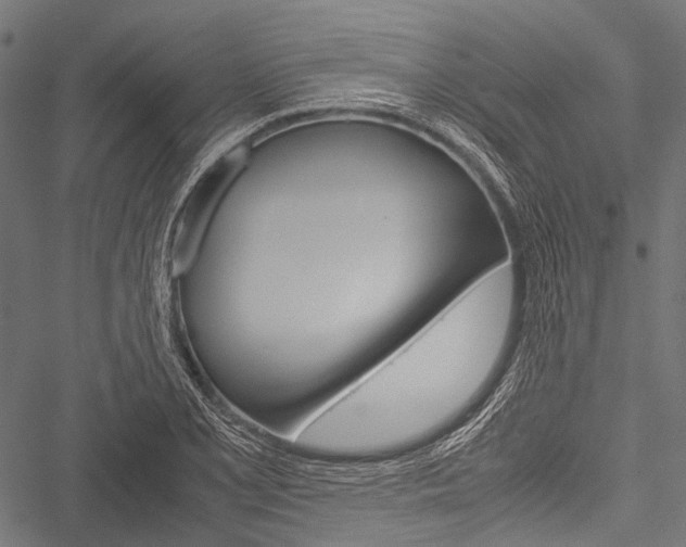 X0000051881077200506240931