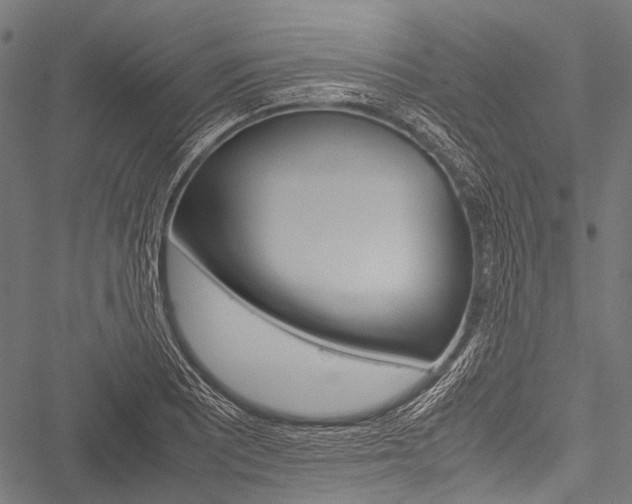 X0000051881081200506240931