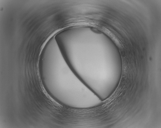 X0000051881092200506240931