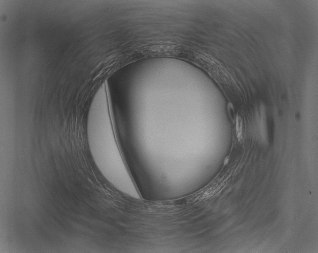 X0000051881107200506240930