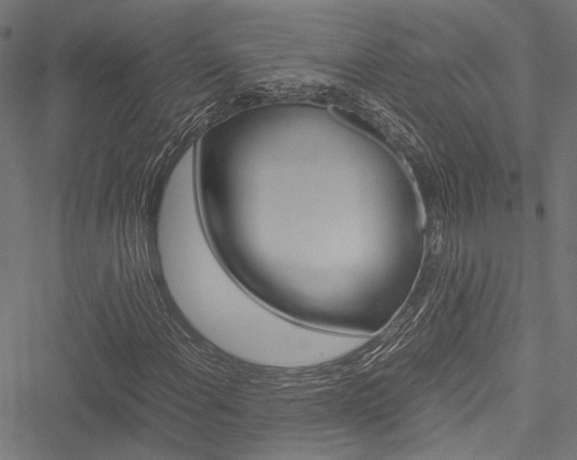 X0000051881108200506240930