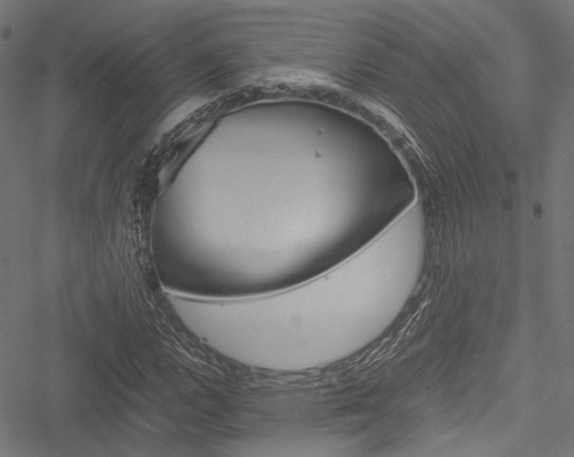 X0000051881112200506240930