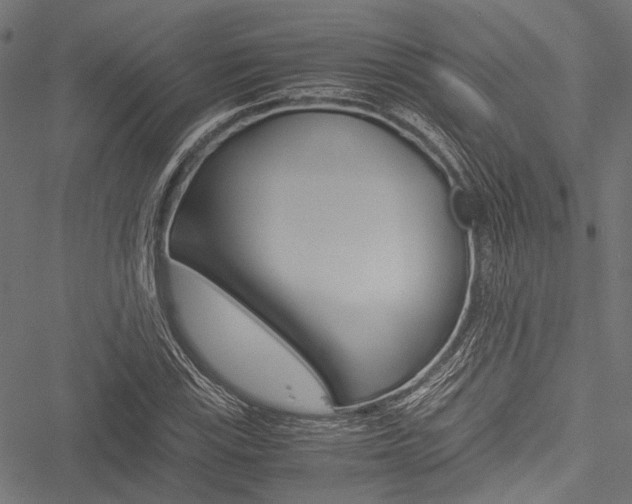 X0000051881115200506240930