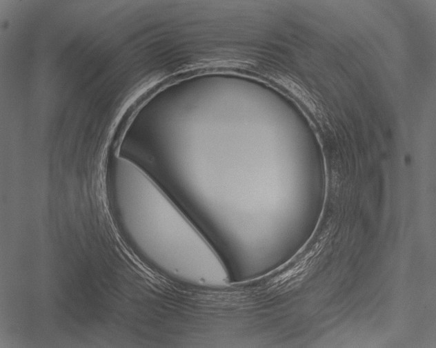 X0000051881119200506240930