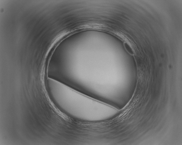 X0000051881131200506240930