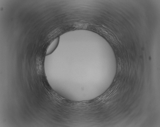 X0000051881154200506240930