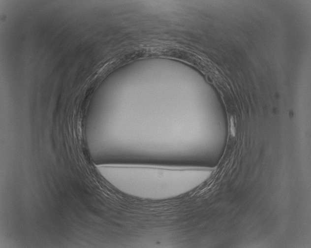X0000051881155200506240930