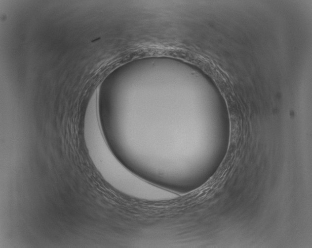 X0000051881157200506240930