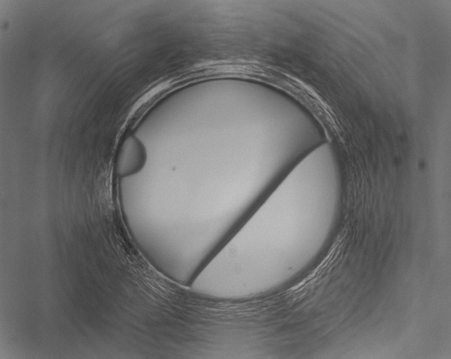 X0000051881174200506240929
