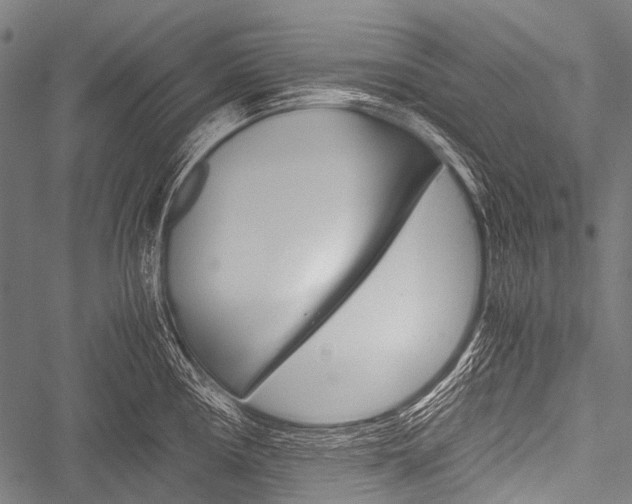 X0000051881194200506240929
