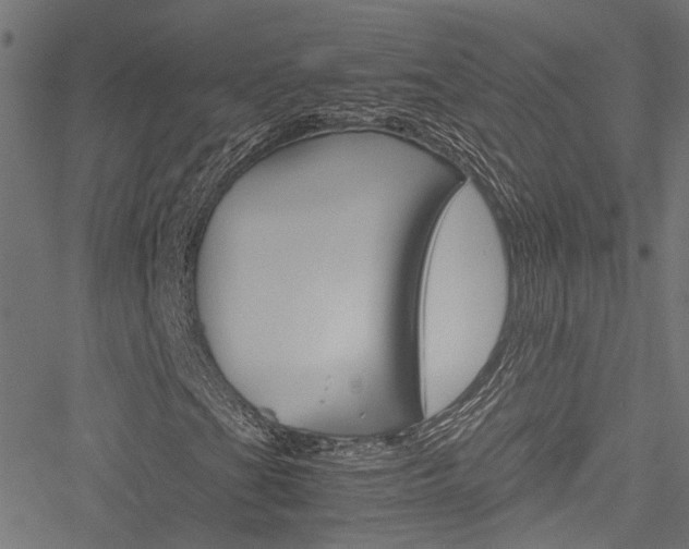 X0000051881201200506240928