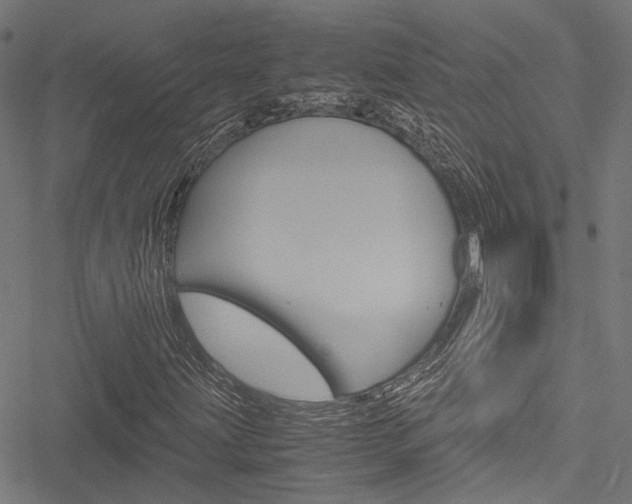 X0000051881203200506240928
