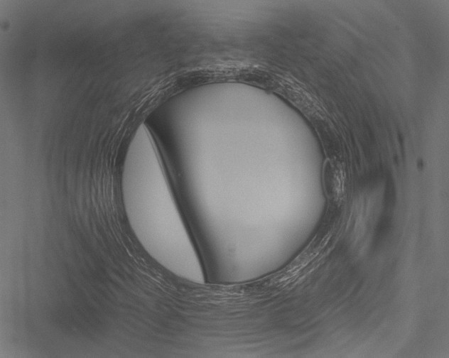 X0000051881204200506240928