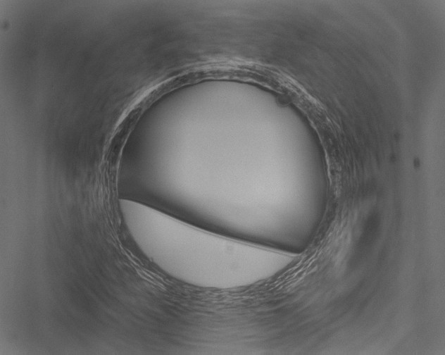 X0000051881208200506240928