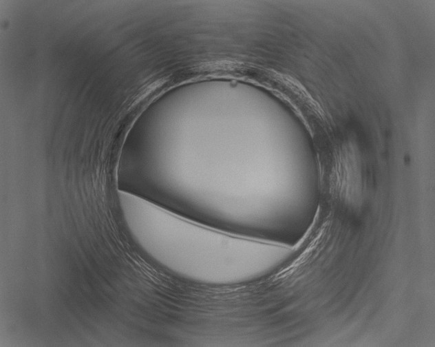 X0000051881209200506240928