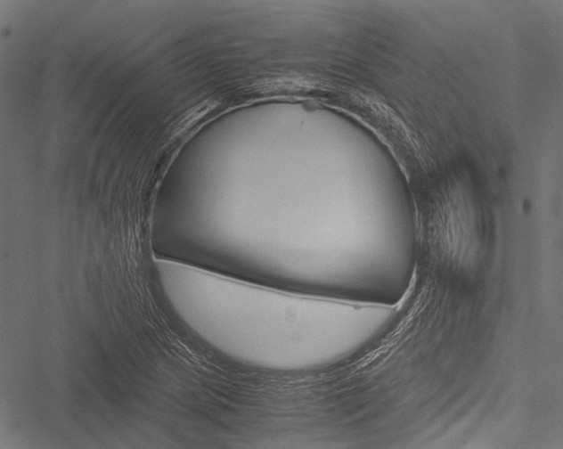 X0000051881217200506240928