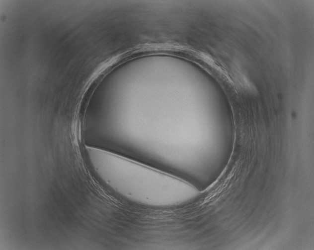 X0000051881221200506240928