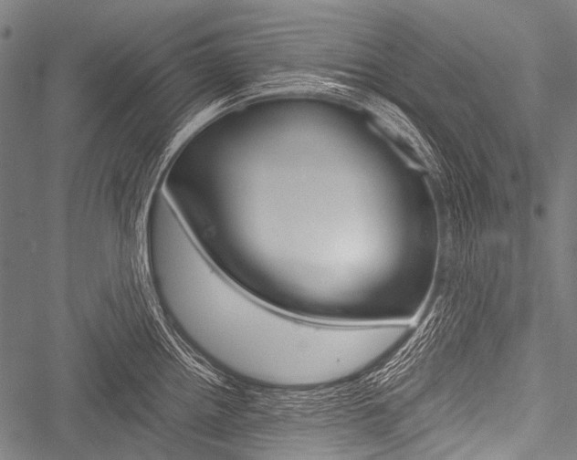 X0000051881242200506240929