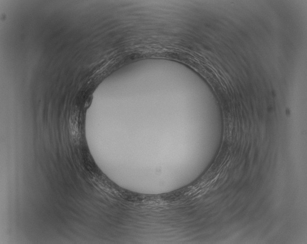 X0000051881250200506240928