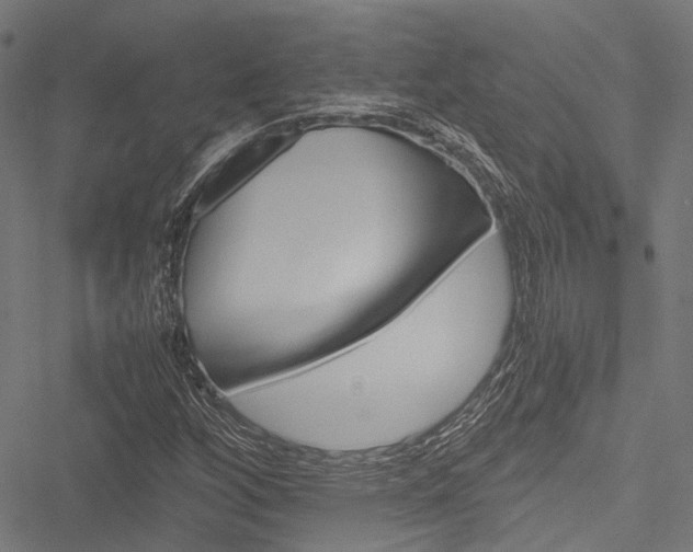X0000051881256200506240928