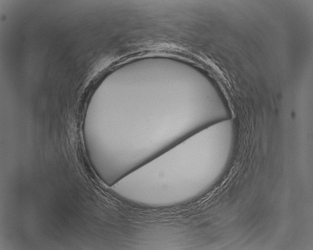 X0000051881263200506240928