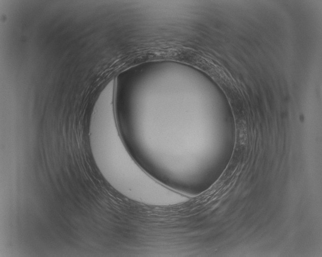 X0000051881298200506240927