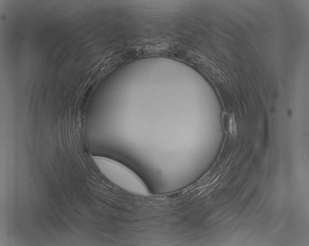 X0000051881299200506240927