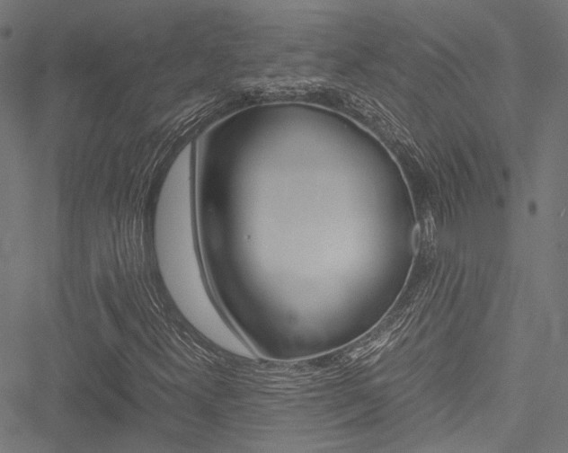 X0000051881300200506240927