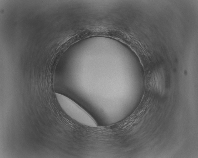 X0000051881301200506240927